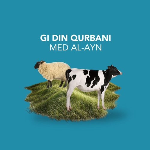 Qurbani: En hellig plikt. En livline for foreldreløse barn